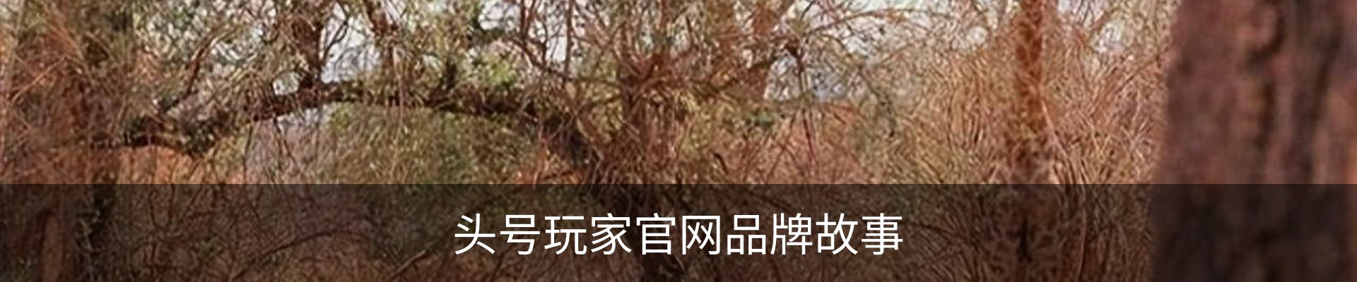 头号玩家官网品牌故事